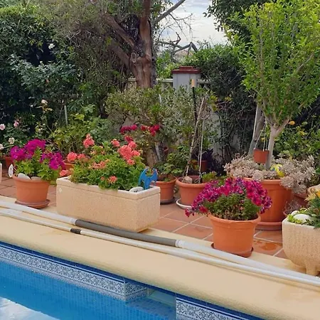 Apartment Alex Costablanca