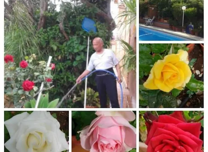 Alex Costablanca Dénia