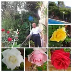 Alex Costablanca Dénia